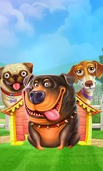 The Dog House